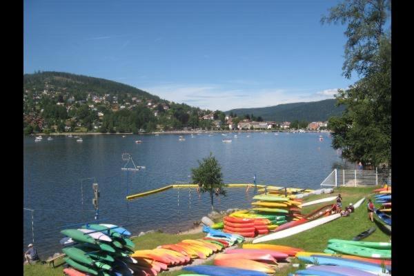 Chalet Individuel - Panoramique Montagnes & Proche Lac La Bresse Exterior photo